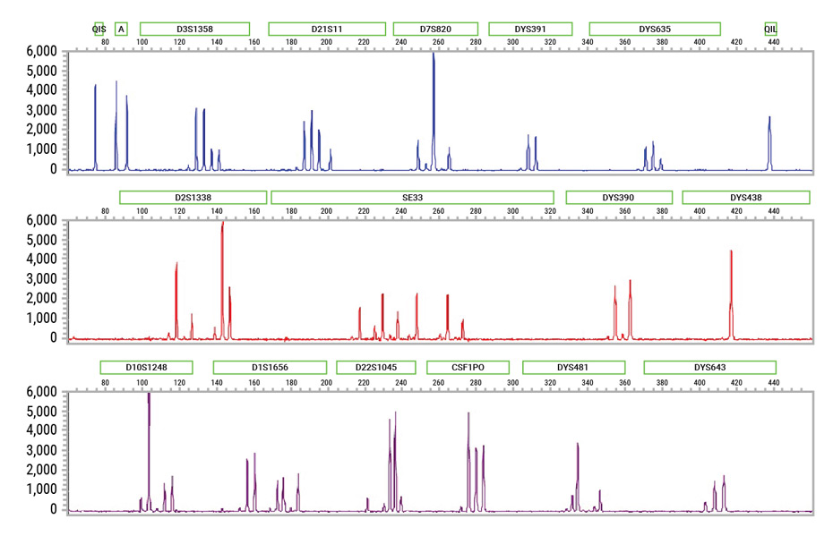 Electropherogram of extracted DNA from 4-person mixtures amplified using the PowerPlex® 35GY System.