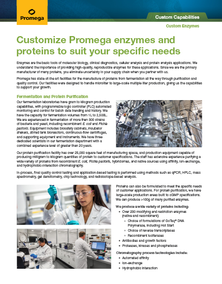 Download Flyer: Custom Enzymes