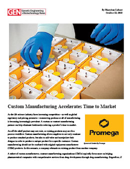 Custom Manufacturing Accelerates Time to Market white paper