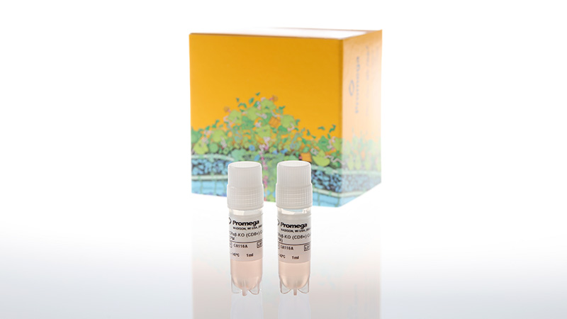T Cell Activation Bioassay (TCRαβ-KO) product image showing the two mini bottles in the GA6112 kit