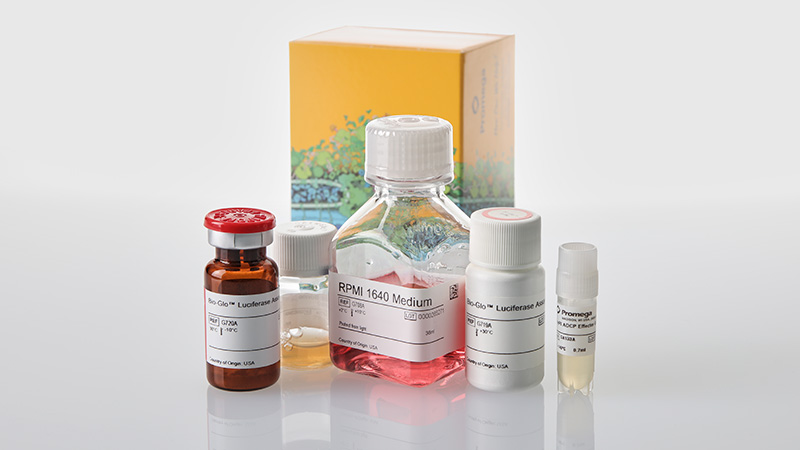 FcγRI ADCP Bioassay product image showing the contents of the kit GA1341: one mini bottle, three medium bottles, and one vial.