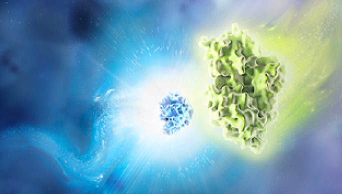 nanoluctechnologysupage-imaging-dual-luciferase