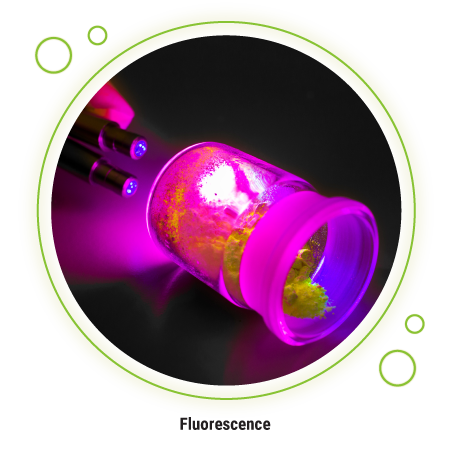 A powder in a glass vial fluoresces under ultraviolet light.